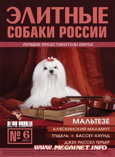 Элитные собаки России - №6 2011