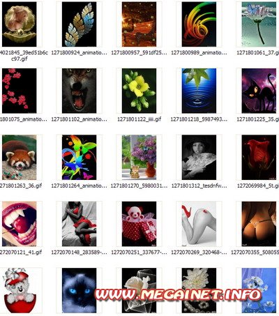 Анимационные картинки на телефон - Девушки, цветы и другое Анимационные картинки на телефон - Девушки, цветы и другое