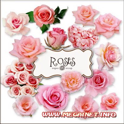 Цветы для фотошопа - Розы