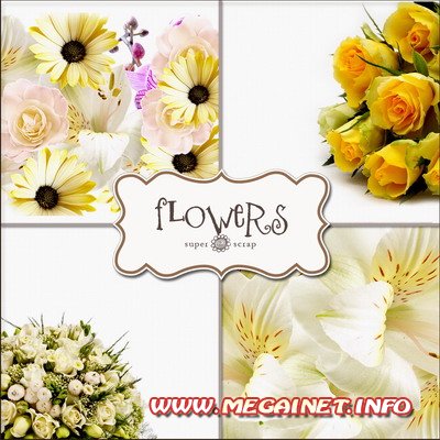 Фоны PNG для фотошопа - Цветы ( 3 )