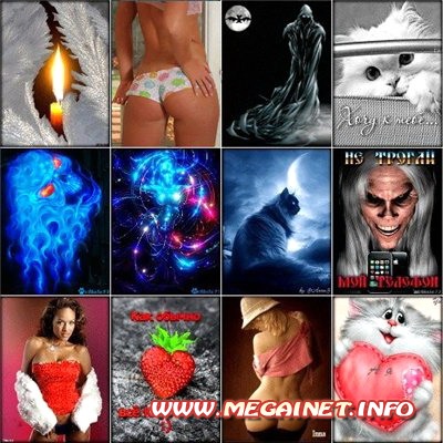 Обои 240x320 ( анимированные ) Обои 240x320 ( анимированные )