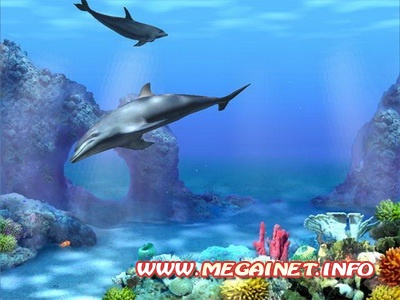 Скринсейвер - Dolphins 3D ( 2012 / Rus )