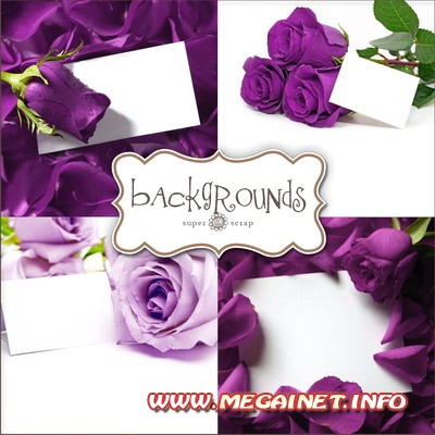 Фоны для фотографий - Фиолетовые цветы