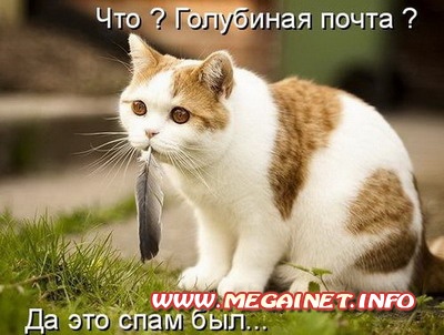 Котоматрицы: Смешные картинки с кошками Котоматрицы: Смешные картинки с кошками