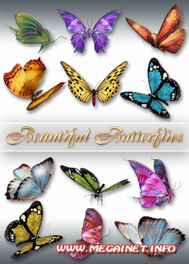 Клипарт PNG - Beautiful Butterflies Клипарт PNG - Beautiful Butterflies