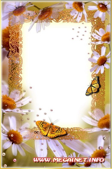 Рамка для фотошопа - Ромашки и бабочки