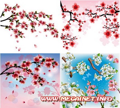 Векторные изображения - Цветы вишни