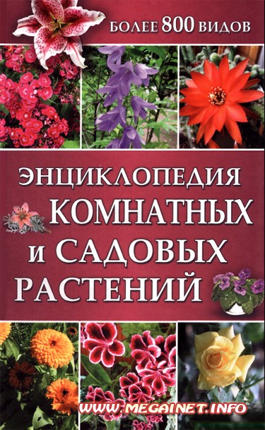 Энциклопедия комнатных и садовых растений Энциклопедия комнатных и садовых растений
