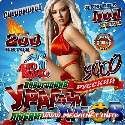 VA - Новогодний ураган любимых хитов ( 2012 ) VA - Новогодний ураган любимых хитов ( 2012 )