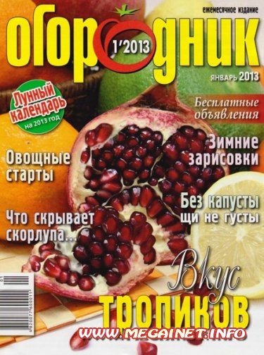 Огородник - №1 ( Январь 2013 ) Огородник - №1 ( Январь 2013 )