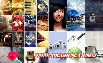 Прикольные картинки на телефон Прикольные картинки на телефон