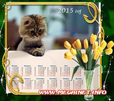 Календарь на 2015 год - Мой котенок