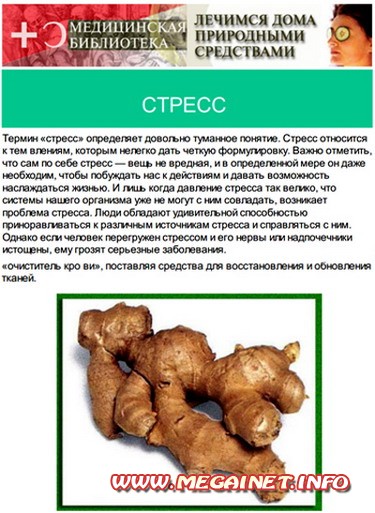 Медецинская энциклопедия - Лечимся дома Медецинская энциклопедия - Лечимся дома