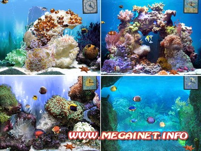 Анимированные обои на стол - 3D Fish Анимированные обои на стол - 3D Fish